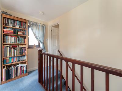 Picture 13